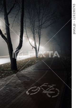 Misty Bicycle Lane at Night in Foggy Park Misty Bicycle Lane at Night in Foggy Park 128190743