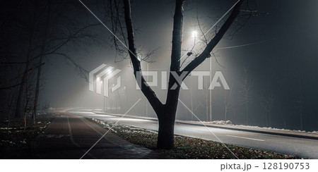 Empty Foggy Street Illuminated by Streetlights at Night Empty Foggy Street Illuminated by Streetlights at Night 128190753