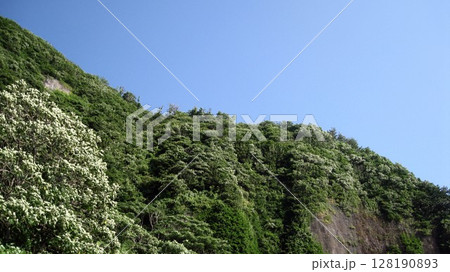 青空バックにそびえる断崖絶壁 青空バックにそびえる断崖絶壁 128190893