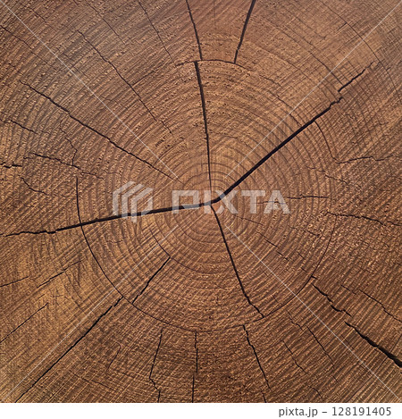 暗い茶色のきめ細かい木目のひび割れた年輪が見える板の正方形の背景画像 128191405