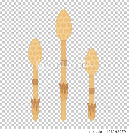 [Spring] Illustration of three horsetails / Type 2 128192079