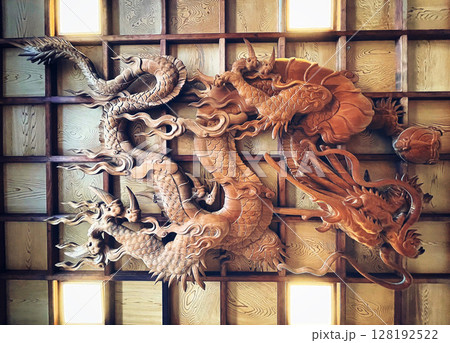 岡崎・龍城神社:日光に照らされた龍 岡崎・龍城神社:日光に照らされた龍 128192522