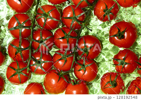 Vegetable background of fresh whole tomatoes in water, splash of water, top view. Vegetable background of fresh whole tomatoes in water, splash of water, top view. 128192548