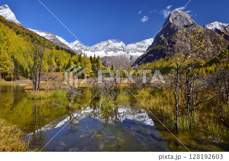 四川省 四姑娘山・双橋溝ハイキング 四川省 四姑娘山・双橋溝ハイキング 128192603