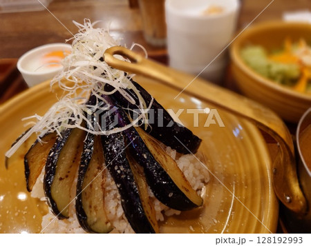 茄子カレー 茄子カレー 128192993