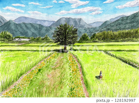 真夏の静寂 真夏の静寂 128192997