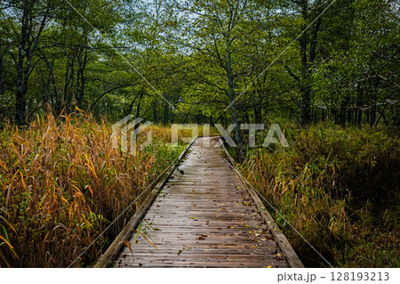 北海道 釧路湿原 北海道 釧路湿原 128193213