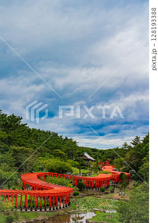 青森県 髙山稲荷神社の風景 青森県 髙山稲荷神社の風景 128193388