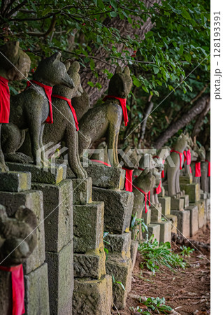 青森県　髙山稲荷神社の風景 128193391