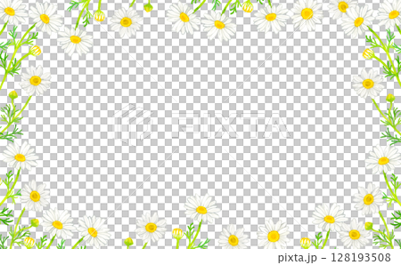 Chamomile frame (Hand-drawn watercolor illustration background material of herbs) Chamomile frame (Hand-drawn watercolor illustration background material of herbs) 128193508