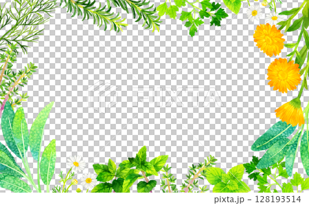 各種草藥的框架（手繪水彩插圖背景素材） 128193514