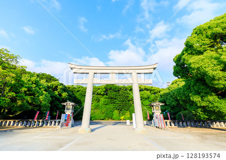 初夏の福岡縣護國神社 福岡県福岡市 初夏の福岡縣護國神社 福岡県福岡市 128193574