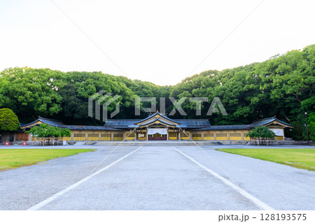 初夏の福岡縣護國神社　福岡県福岡市 128193575