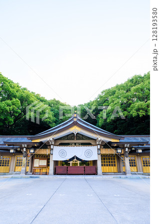 初夏の福岡縣護國神社　福岡県福岡市 128193580