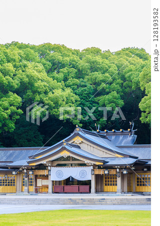 初夏の福岡縣護國神社　福岡県福岡市 128193582