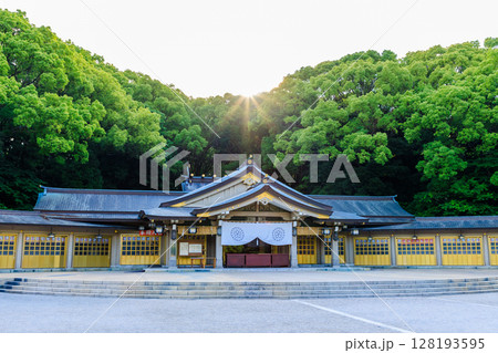 初夏の福岡縣護國神社　福岡県福岡市 128193595