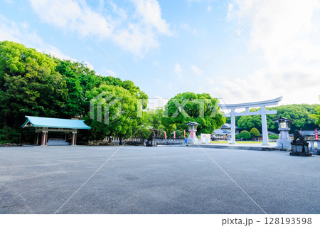 初夏の福岡縣護國神社 福岡県福岡市 初夏の福岡縣護國神社 福岡県福岡市 128193598