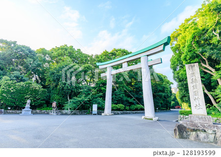 初夏の福岡縣護國神社 福岡県福岡市 初夏の福岡縣護國神社 福岡県福岡市 128193599