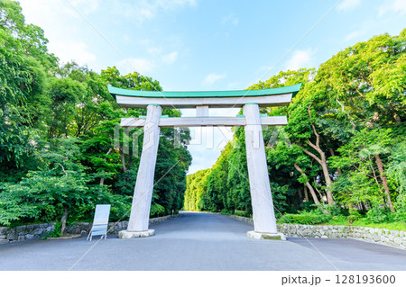 初夏の福岡縣護國神社 福岡県福岡市 初夏の福岡縣護國神社 福岡県福岡市 128193600
