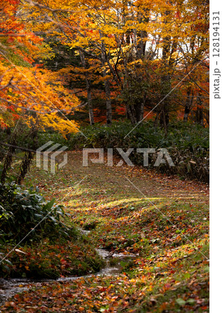 Autumn 7 Autumn 7 128194131