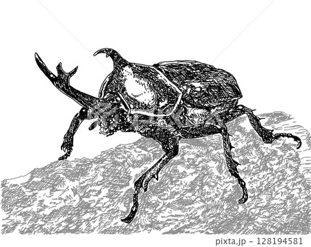 カブトムシのペン画イラストの透過PNG素材 128194581