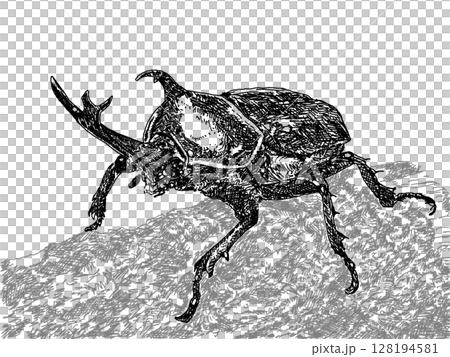 カブトムシのペン画イラストの透過PNG素材 128194581