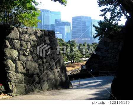 皇居東御苑 江戸城 汐見坂 皇居東御苑 江戸城 汐見坂 128195139