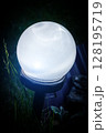 Garden LED light 128195719
