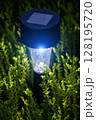 Garden LED light 128195720