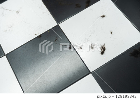 Dust particles and fur scattered on a black and white tiled floor 128195845