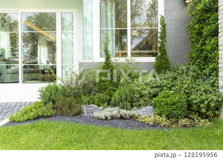 Spring garden at home. Terrace with green plants and trees in small garden. Cozy garden corner with houseplants in pots. Exterior Autumn backyard home. 128195956