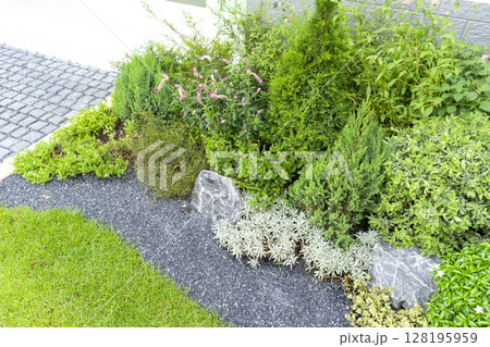 Spring garden at home. Terrace with green plants and trees in small garden. Cozy garden corner with houseplants in pots. Exterior Autumn backyard home. 128195959
