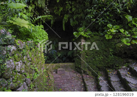 沖縄の中城城跡の大井戸 128196019
