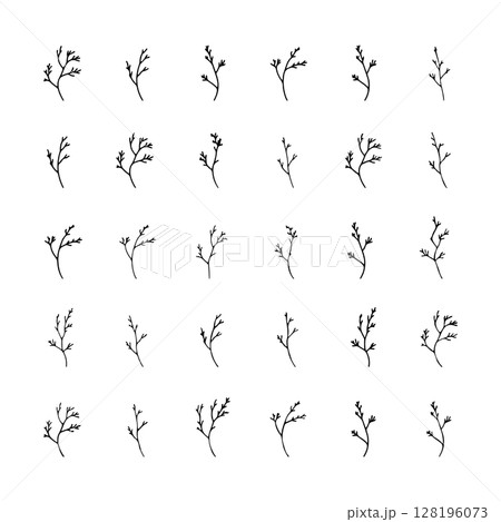 Floral Sprigs Illustration. A group of fine-lined floral sprigs featuring natural details and botanical curves for elegant compositions. Floral Sprigs Illustration. A group of fine-lined floral sprigs featuring natural details and botanical curves for elegant compositions. 128196073