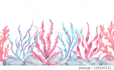 Seamless border composition with colorful seaweed and stones. Watercolor botanical illustration. Hand drawn isolated art. Natural form of marine flora. Travel banner, kids design, underwater theme. 128197212