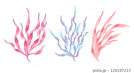 Pink, blue, peach seaweed branch. Watercolor, marker illustration. Hand drawn isolated art. Ocean botanical underwater marine flora form. Clip art for travel, cosmetology, children's design themes. 128197213
