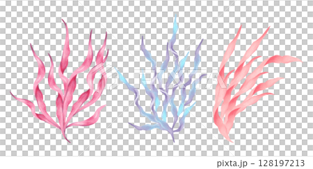 Pink, blue, peach seaweed branch. Watercolor, marker illustration. Hand drawn isolated art. Ocean botanical underwater marine flora form. Clip art for travel, cosmetology, children's design themes. 128197213