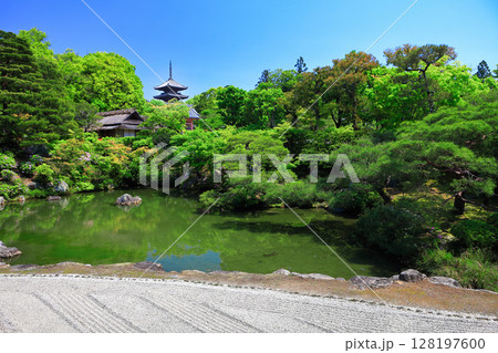 【京都府】万緑の北庭と五重塔（仁和寺） 128197600