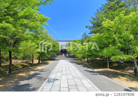 【京都府】快晴の仁和寺の金堂 128197606