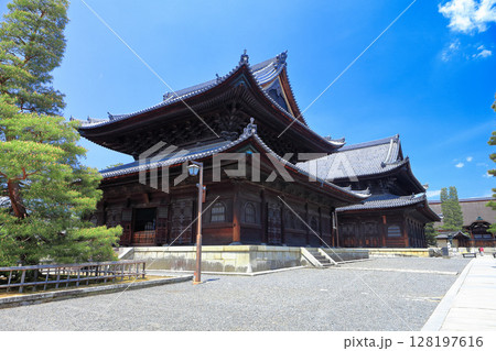 【京都府】快晴の妙心寺の仏殿と法堂と大方丈 【京都府】快晴の妙心寺の仏殿と法堂と大方丈 128197616