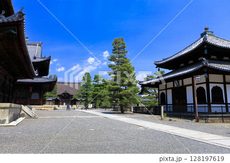 【京都府】快晴の妙心寺の経蔵と大方丈 【京都府】快晴の妙心寺の経蔵と大方丈 128197619