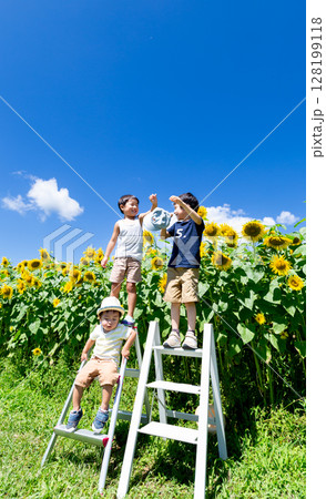 ひまわり畑で遊ぶ子供達 ひまわり畑で遊ぶ子供達 128199118