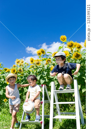 ひまわり畑で遊ぶ子供達 ひまわり畑で遊ぶ子供達 128199121