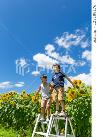 ひまわり畑で遊ぶ男の子達 128199176