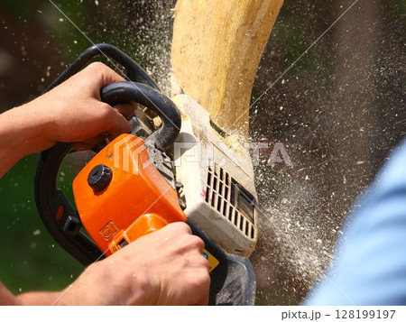 Close-Up Of A Worker Using A Chainsaw To Cut Wood: A Powerful Action Shot Capturing Sawdust Flying As The Blade Slices Through A Log In An Outdoor Setting. Close-Up Of A Worker Using A Chainsaw To Cut Wood: A Powerful Action Shot Capturing Sawdust Flying As The Blade Slices Through A Log In An Outdoor Setting. 128199197