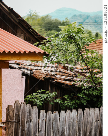 Collapsing Wooden House With A Broken Roof And Crumbling Walls: An Abandoned Rural Structure Overgrown With Greenery And Wildflowers In A Natural Landscape 128199321