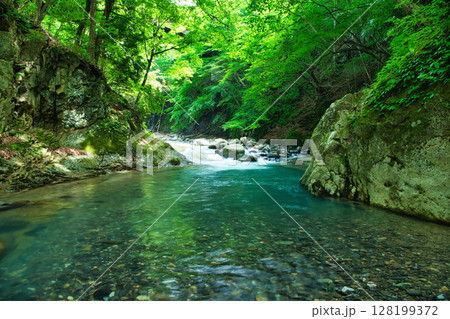 栃木県那須塩原市 塩原温泉に流れる鹿股川 栃木県那須塩原市 塩原温泉に流れる鹿股川 128199372