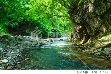 栃木県那須塩原市 塩原温泉に流れる鹿股川 栃木県那須塩原市 塩原温泉に流れる鹿股川 128199375