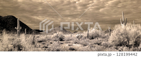 Panorama San Tan Mountains Sonora Desert Arizona in Infrared Panorama San Tan Mountains Sonora Desert Arizona in Infrared 128199442