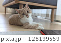 舌を出して振り返るリラックスした子猫 128199559